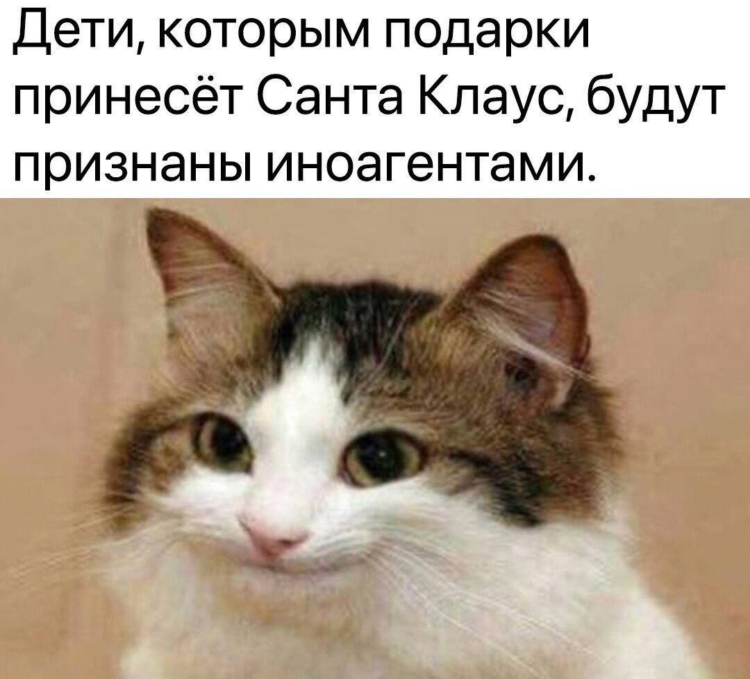 Дети которым подарки принесёт Санта Клаус будут признаны иноагентами Ъ