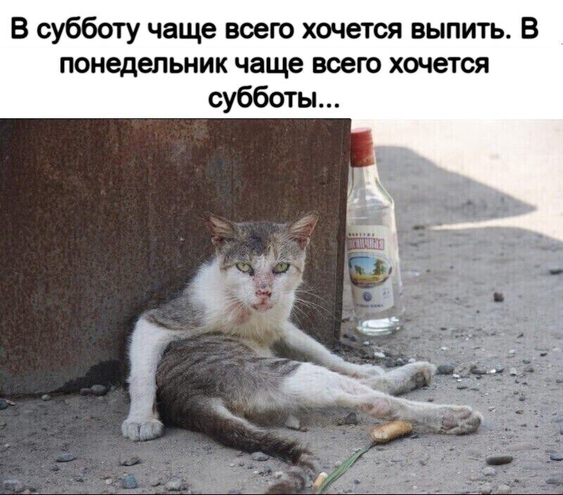В субботу чаще всего хочется выпить В понедельник чаще воего хочется