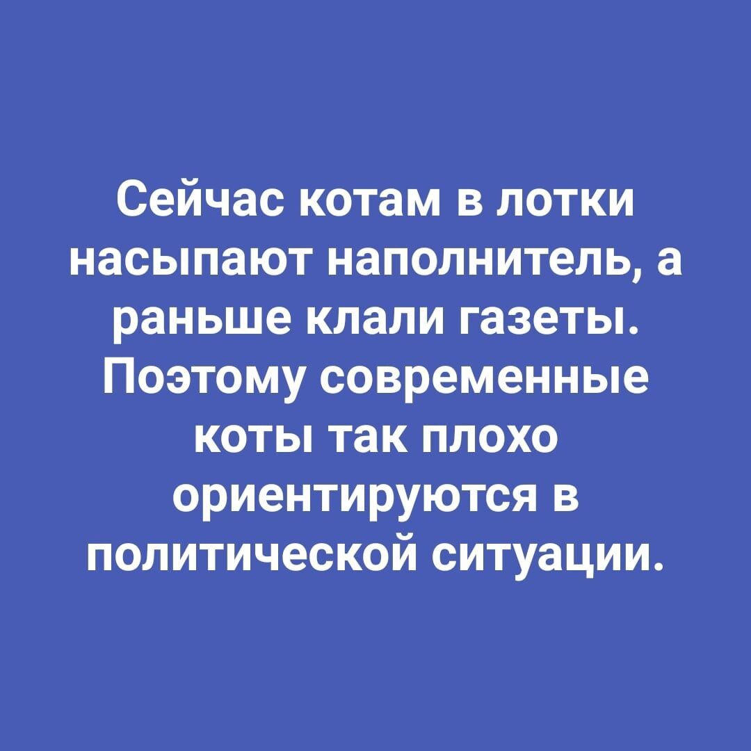 Сейчас котам в лотки насыпают наполнитель а раньше клали газеты Поэтому современные коты так плохо ориентируются в политической ситуации