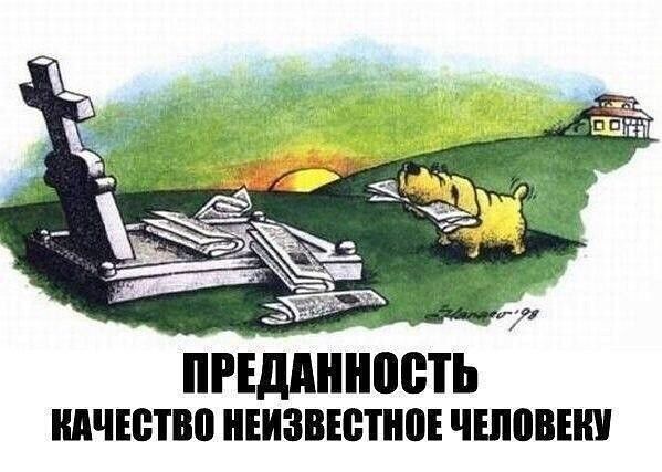 пгшпнііоеть ШЧЕБШВ шанс чшпвнш