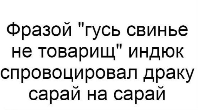 Фразой гусь свинье не товарищ индюк спровоцировал драку сарай на сарай