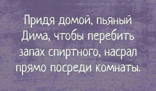 Придя домой пьяный Дима чтобы перебить запах спиртного насрал прямо посреди комнаты