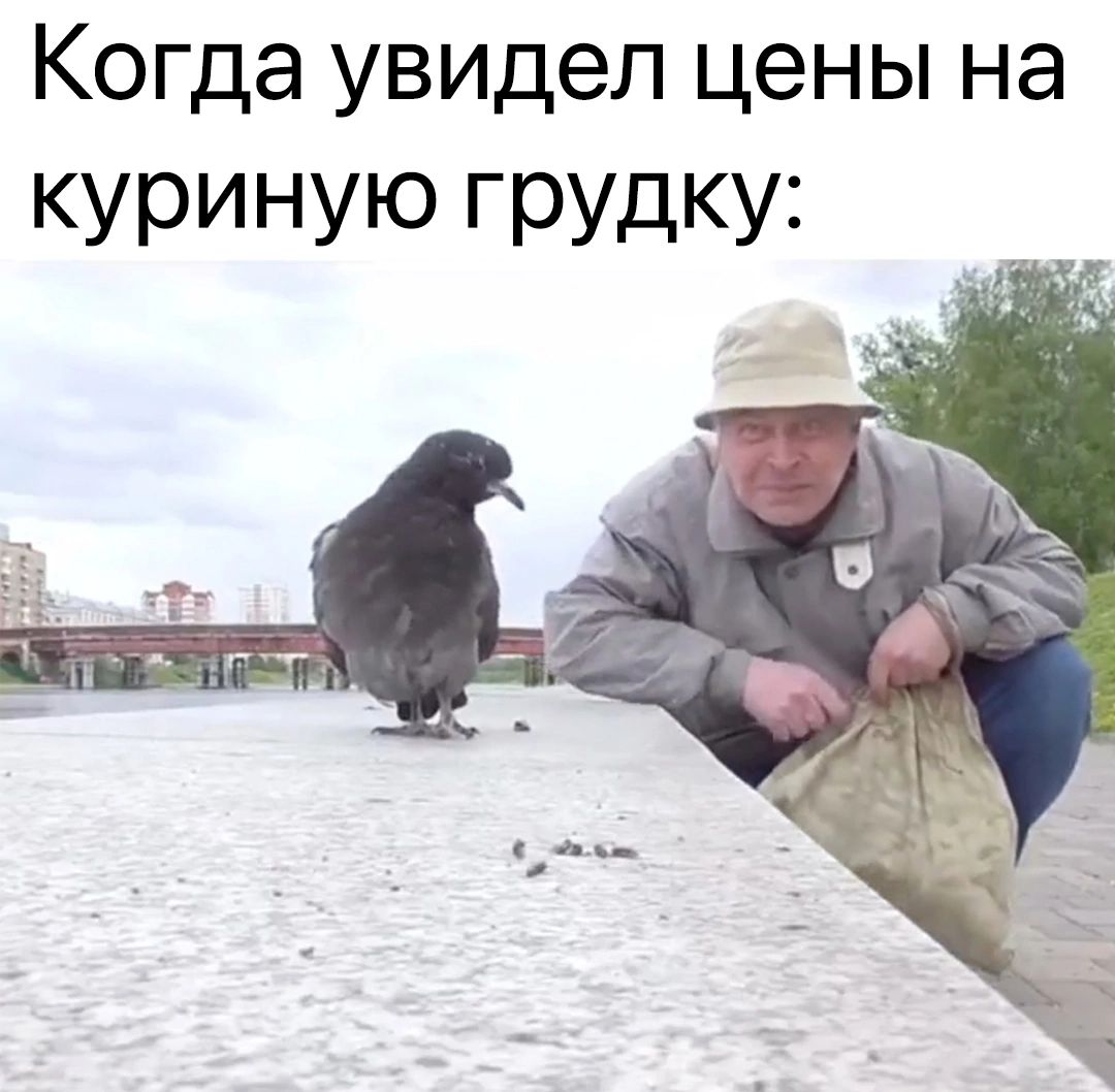 Когда увидел цены на кУРИНУЮ ГРУдКУі