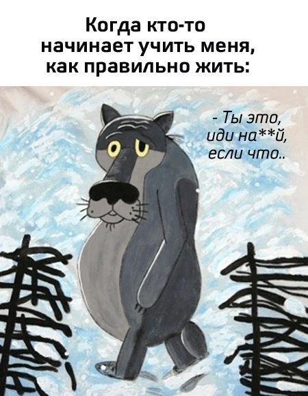 Когда кто то начинает учить меня как правильно жить Ты это иди най если что