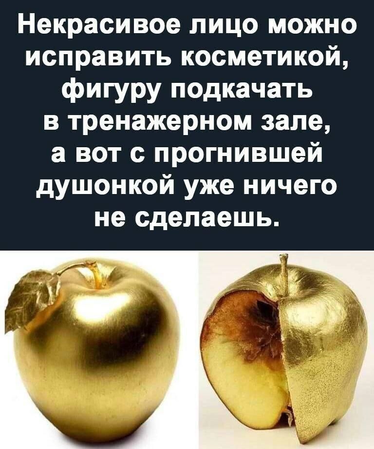 Некрасивое лицо можно исправить косметикой фигуру подкачать в тренажерном зале а вот с прогнившей душонкой уже ничего не сделаешь