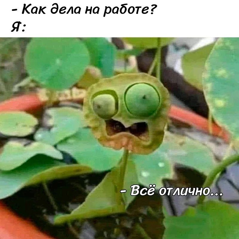Как дела на работе