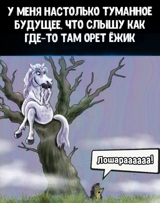 у мня ндстопько туммно вудушд что слышу кдк где то ТАМ от Ежж За _ д 5