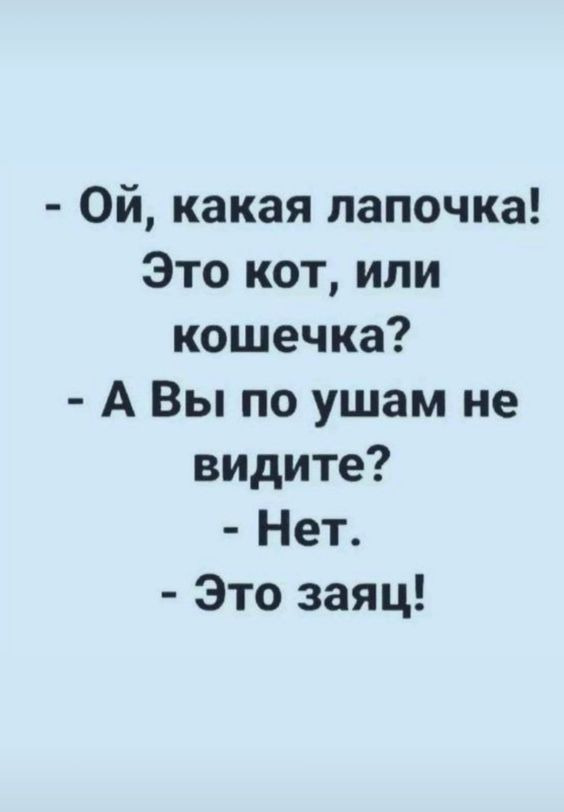 Ой какая лапочка Это кот или кошечка А Вы по ушам не видите Нет Это заяц