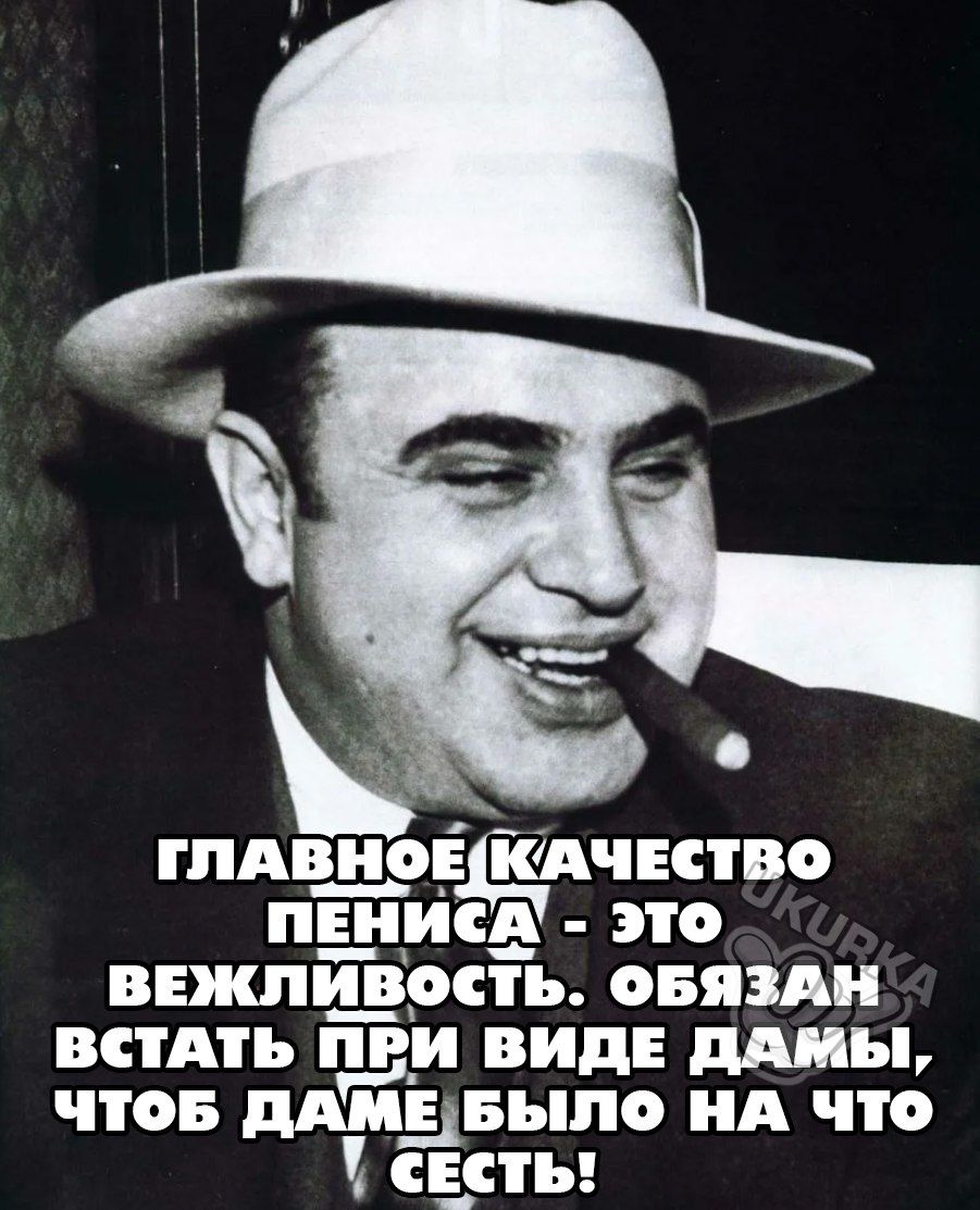 ГПАішЕЩАЧЕСТВО ПЕНИСё ЭТО ВЕЖЛ РСТЪ ОБЯЗАН ВСА _и ВИДЕ ММЪ ПОБ ММЭБЬЛ А ЧТО сапы