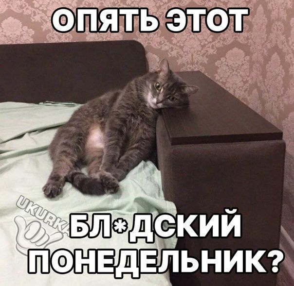 ЫЁЁЁЁЁЁЁЁЗЁ __ ПФНЕдЕльник