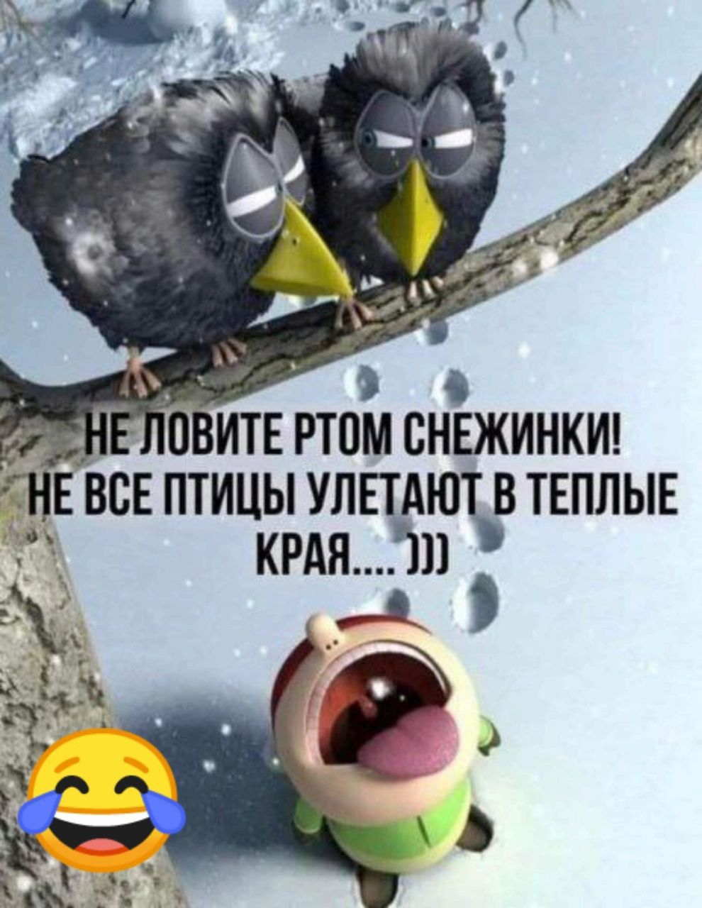 О питтомснвжинкид Е всв птицы уппд в твплые крдяш А Р