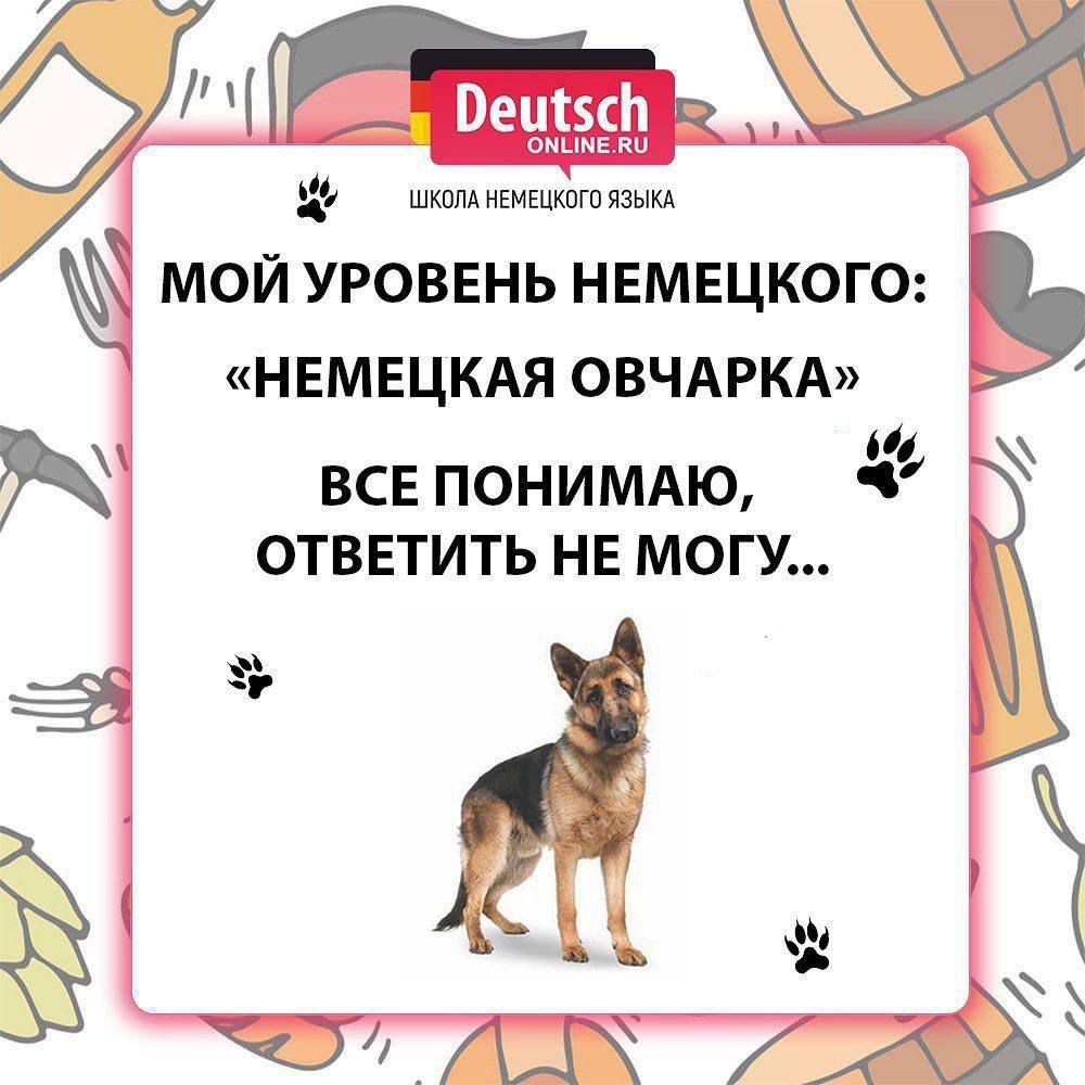 ВСЕ ПОНИМАЮ ОТВЕТИТЬ НЕ МОГУ