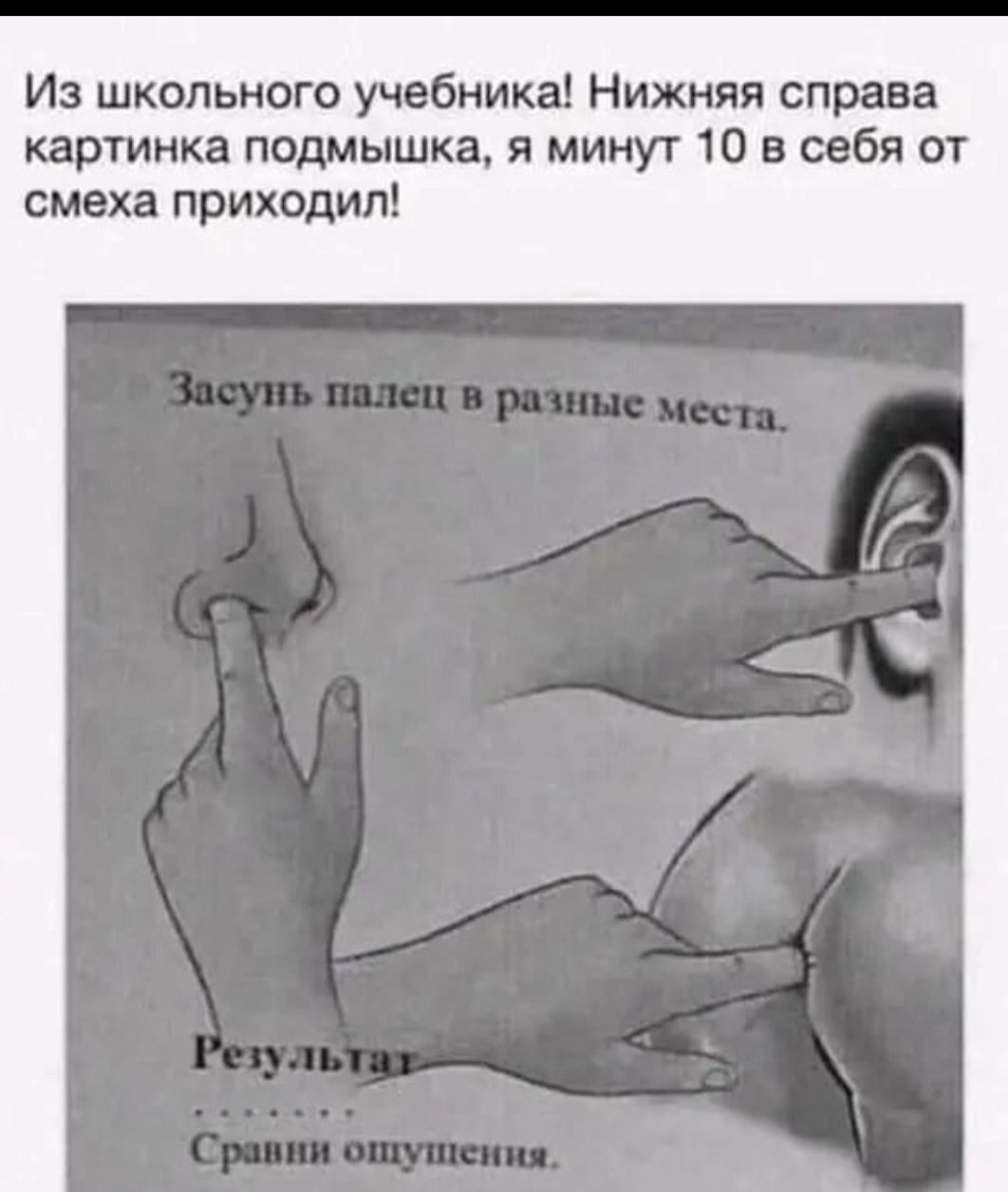Из школьного учебника Нижняя справа картинка подмышка я минут 10 в себя от смеха приходил