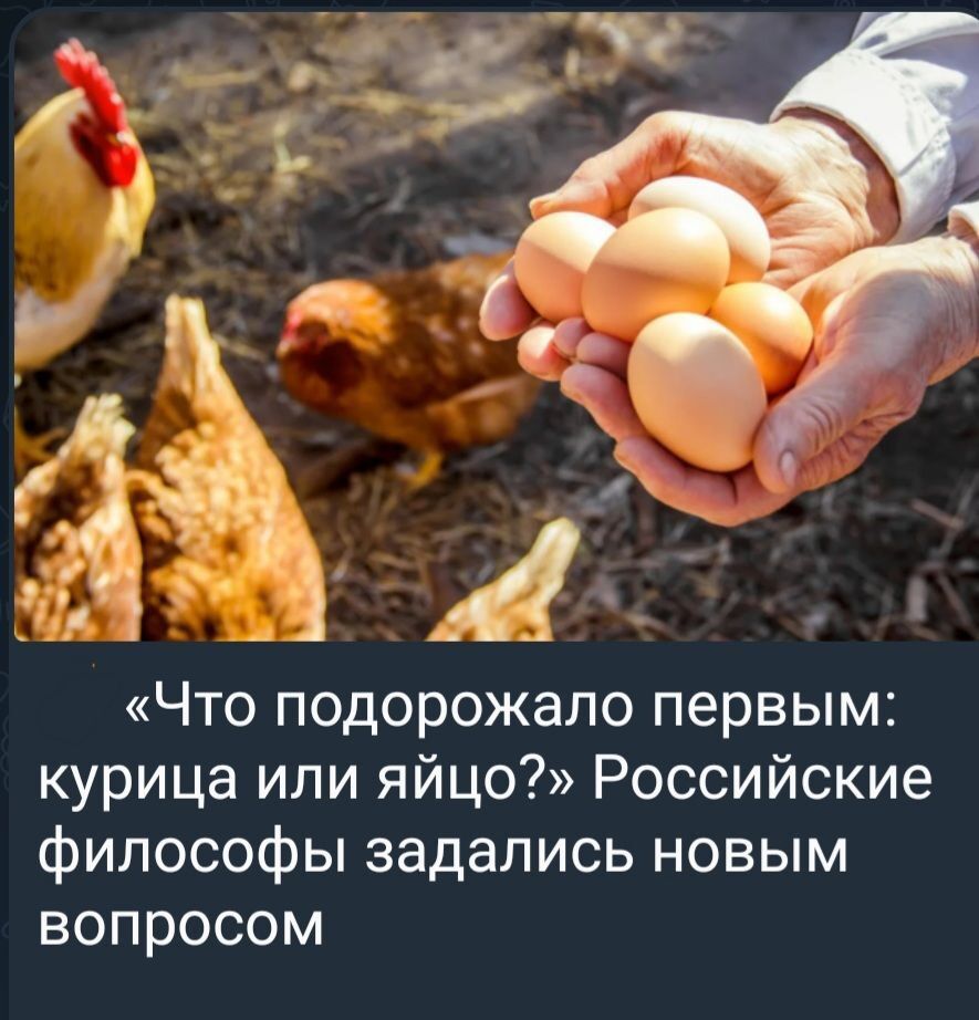 ЗП 4 Что подорожало первым курица ипи яйцо Российские философы задались новым вопросом