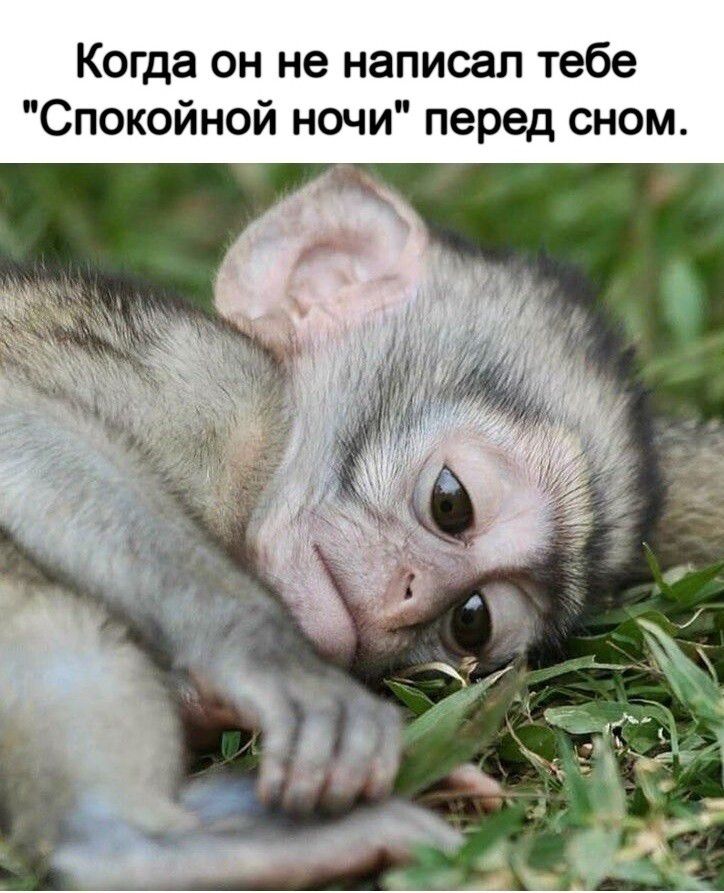 Когда он не написал тебе Спокойной ночи перед сном