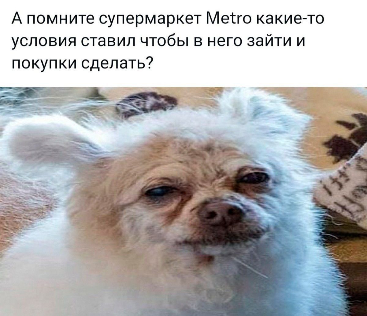 А помните супермаркет Метго какие то условия ставил чтобы в него зайти и покупки сделать