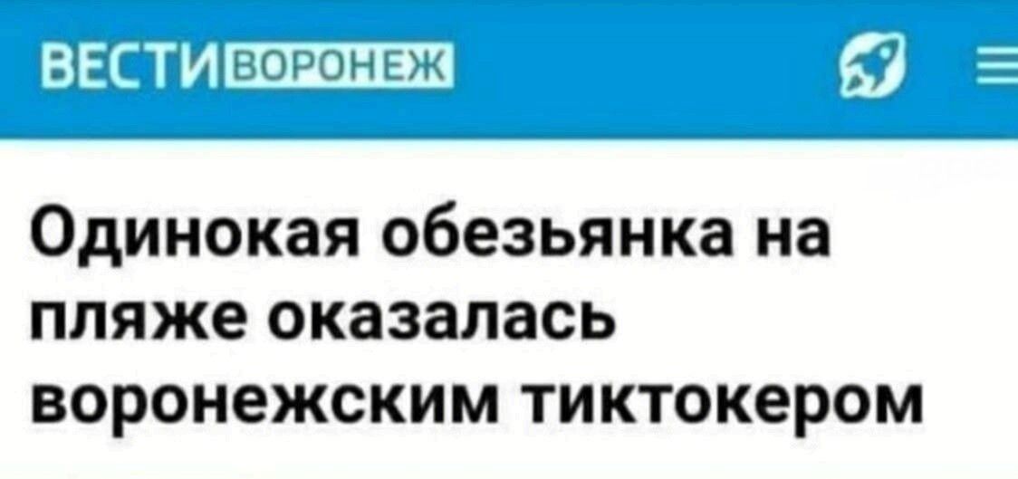 Одинокая обезьянка на пляже оказалась воронежским тиктокером