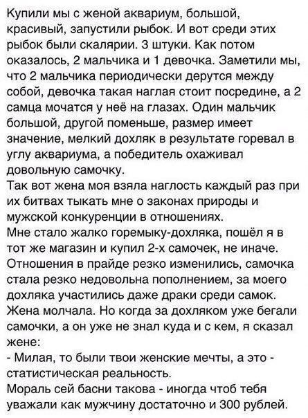 Купили мы с женой аквариум большой красивый запустили рыбок И вот среди этих рыбок были скалярии 3 штуки Как потом оказалось 2 мальчика и 1 девочка Заметили мы что 2 мальчика периодически дерутся между собой девочка такая наглая стоит посредине а 2 самца мочатся у неё на глазах Один мальчик большой другой поменьше размер имеет значение мелкий дохляк в результате горевал в углу аквариума а победите