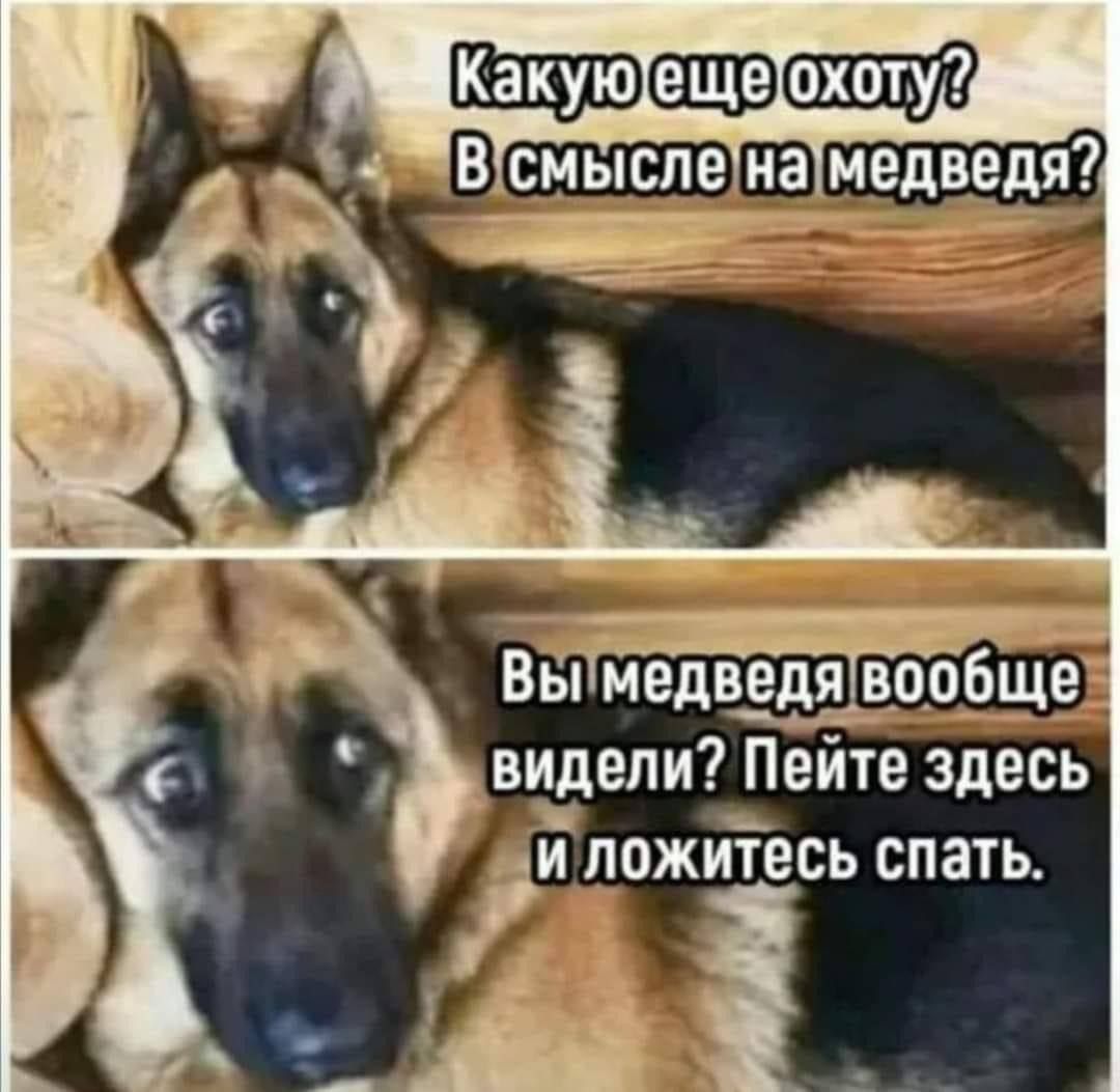 видели Пейте здесь Ши ложитесь спать