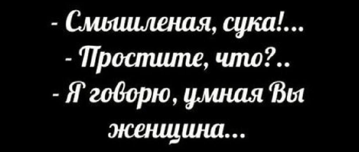 Смьшьленая сука Проспште что Ягодорю умная ЗЫ