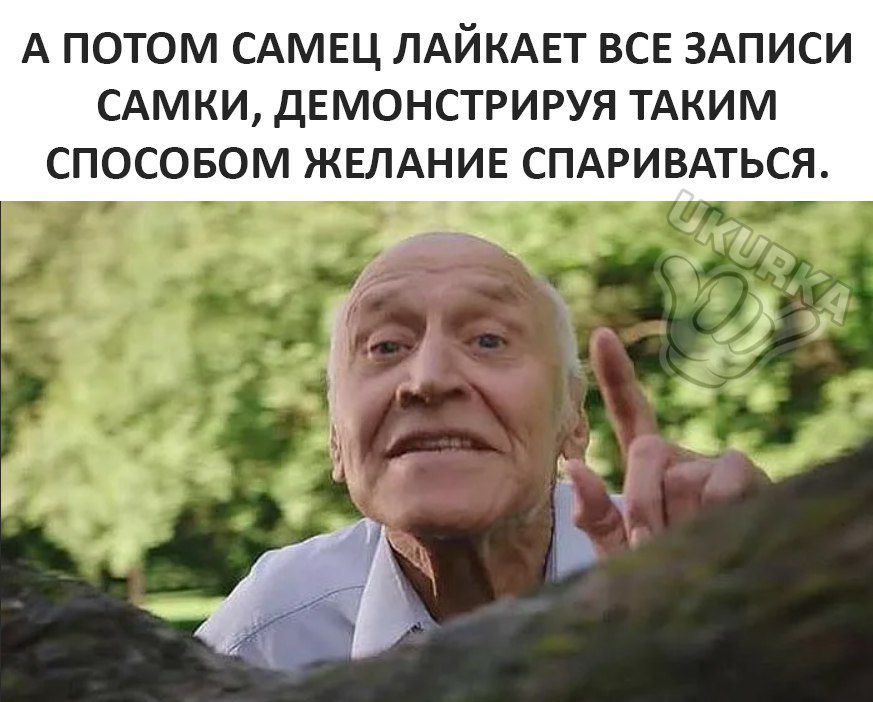 А ПОТОМ САМЕЦ ЛАЙКАЕТ ВСЕ ЗАПИСИ САМКИ дЕМОНСТРИРУЯ ТАКИМ СПОСОБОМ ЖЕЛАНИЕ СПАРИВАТЬСЯ г