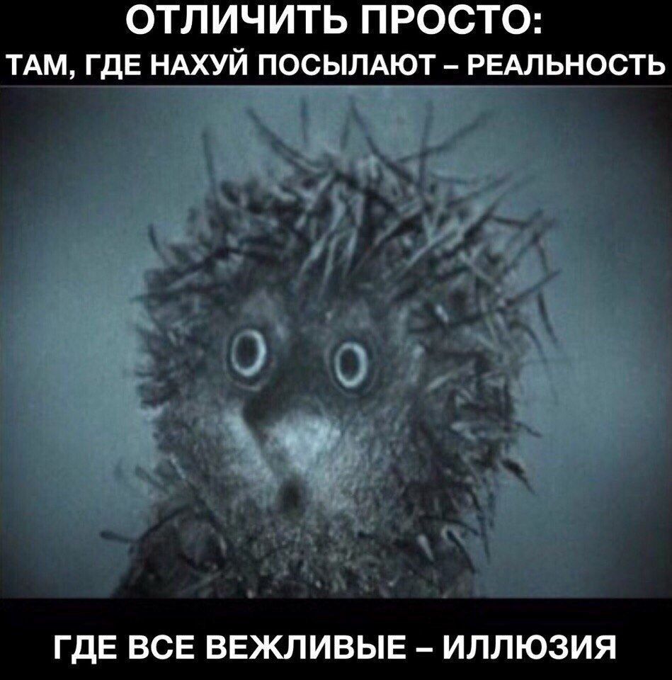 ОТЛИЧИТЬ ПРОСТО тдм ГДЕ НАХУЙ посылдют РЕАЛЬНОСТЬ ГДЕ ВСЕ ВЕЖЛИВЫЕ ИППЮЗИЯ