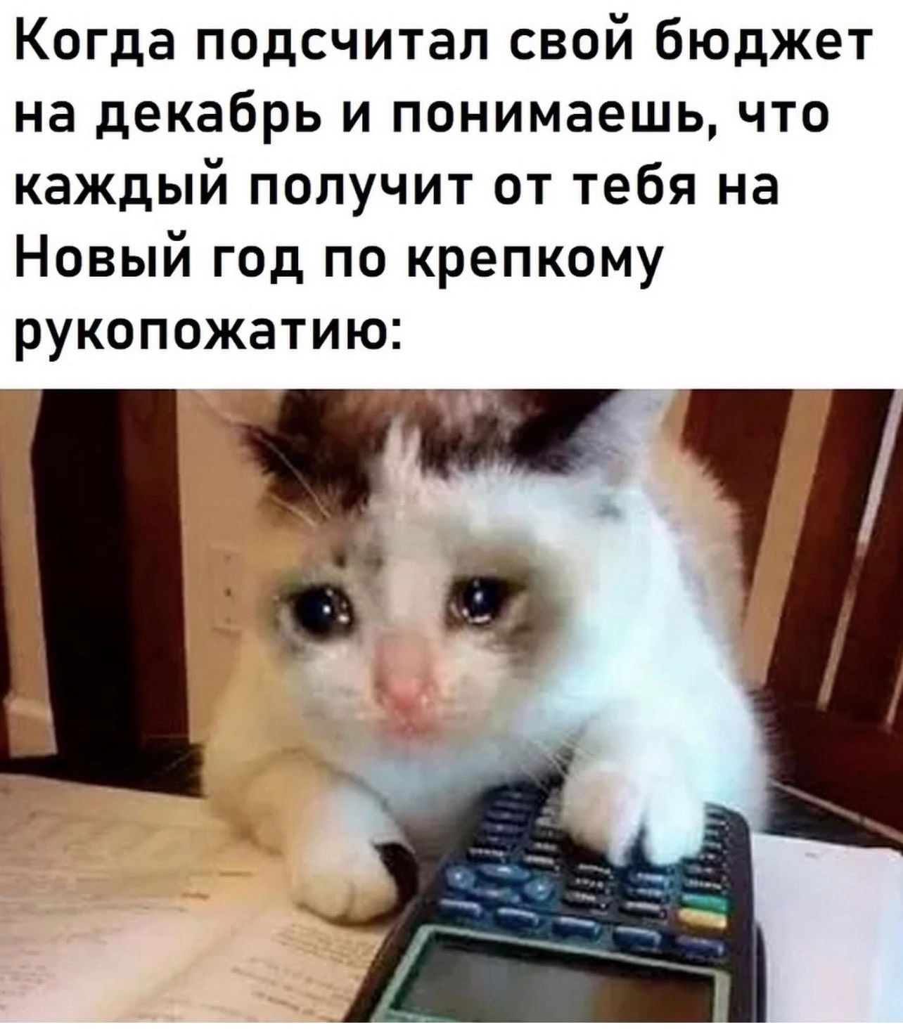 Когда подсчитал свой бюджет на декабрь и понимаешь что каждый получит от тебя на Новый год по крепкому рукопожатию