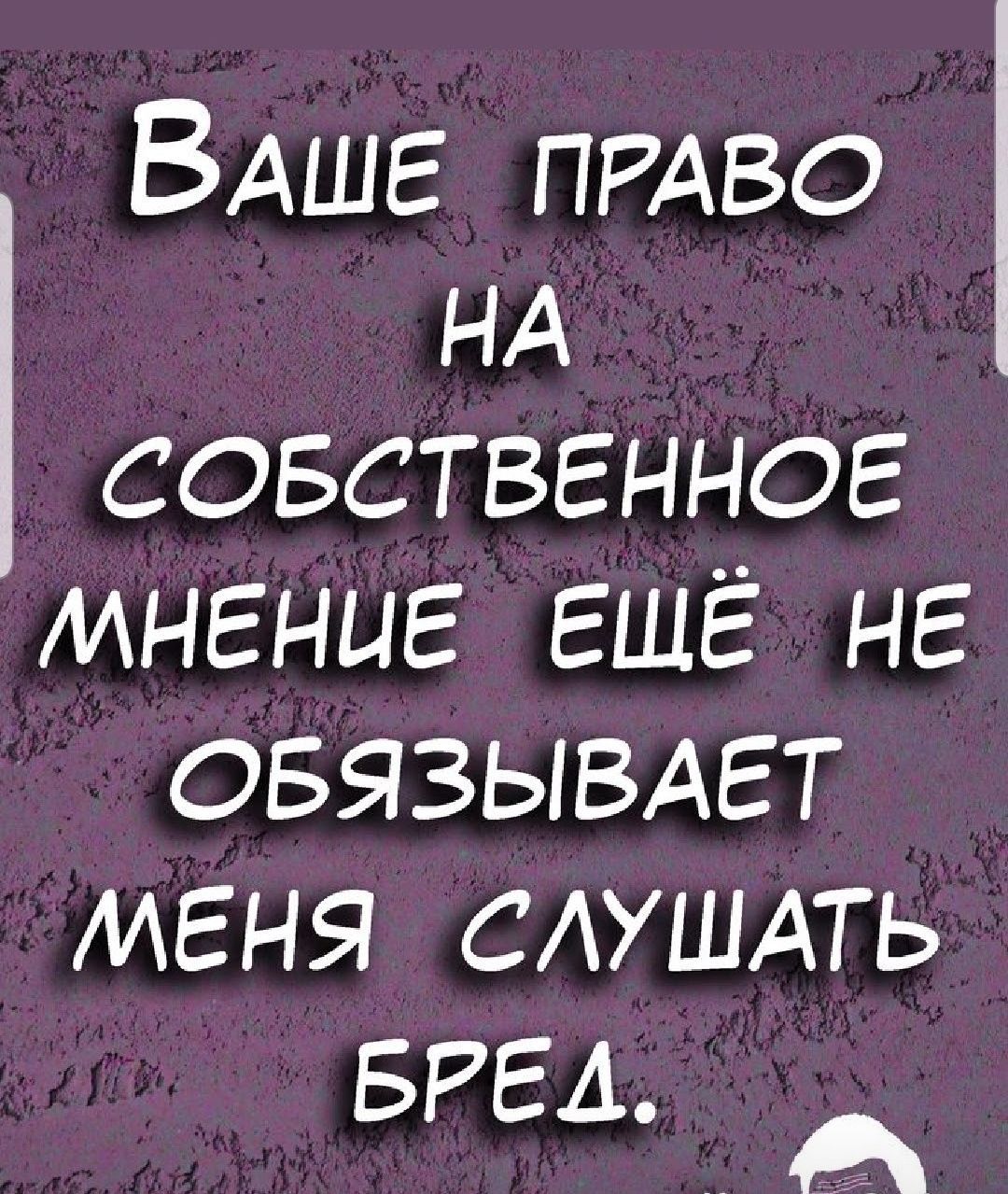 ВАШЕ ПРАВО НА СОБСТВЕННОЕ МНЕНЦЕ ЕЩЁ НЕ ОБЯЗЫВАЕТ МЕНЯ САУШАТЬ БРЕА