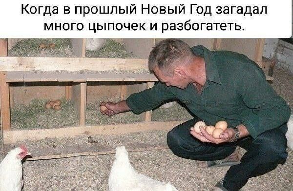 Когда в прошлый Новый Год загадал много цыпочек и разбогатеть