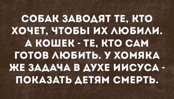 СОБАК ЗАВОАЯТ ТЕ КТО ХОЧЕТ ЧТОБЫ ИХ АЮБИАИ А КОШЕК ТЕ КТО САМ ГОТОВ АЮБИТЬ У ХОМЯКА ЖЕ ЗАААЧА В АУХЕ ИИСУСА ПОКАЗАТЬ АЕТЯМ СМЕРТЬ