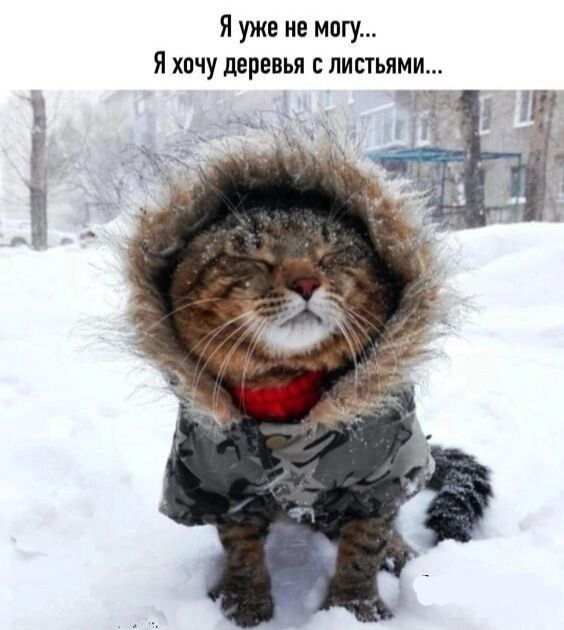 _ Я уже не могу Я хочу деревья листьями