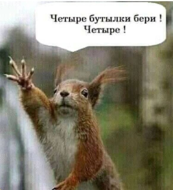 Четыре Бутылки бери Четыре