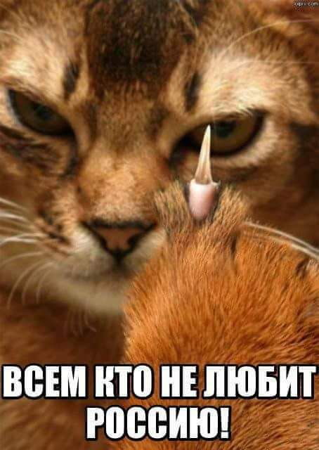 ВПШ ИТП ИЕ ЛЮБИТ РПВВИЮ