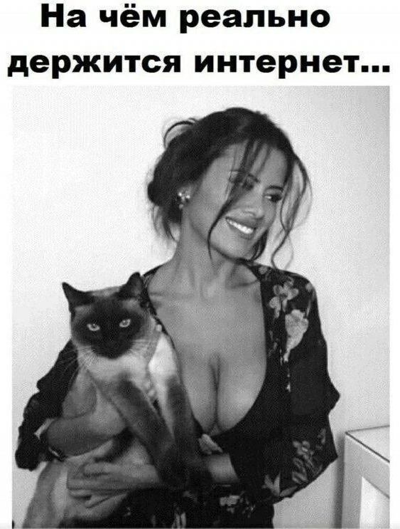 На чём реально держится интернет