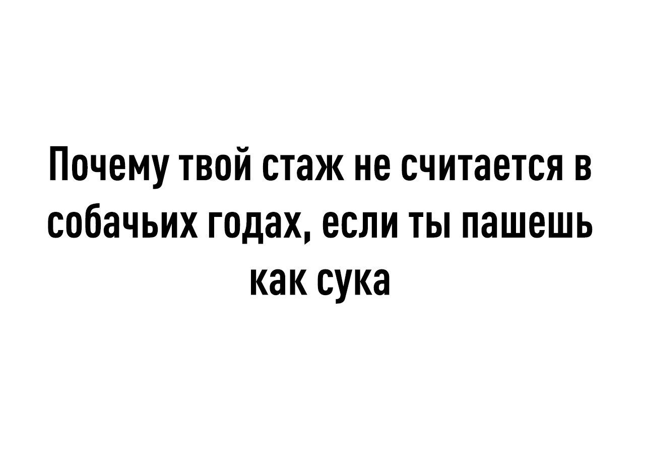 Почему твой стаж не считается в собачьих годах если ты пашешь как сука