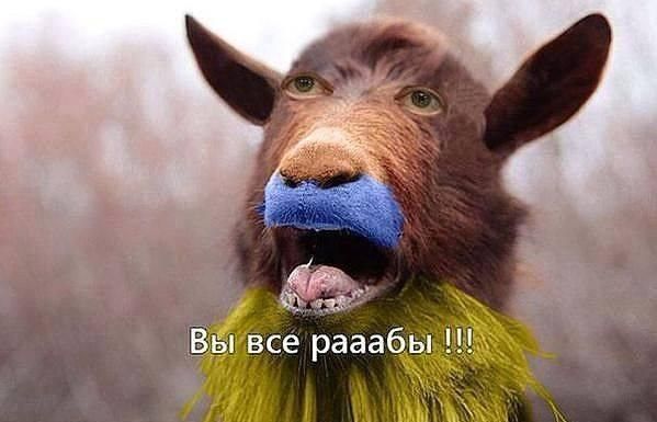 ы и