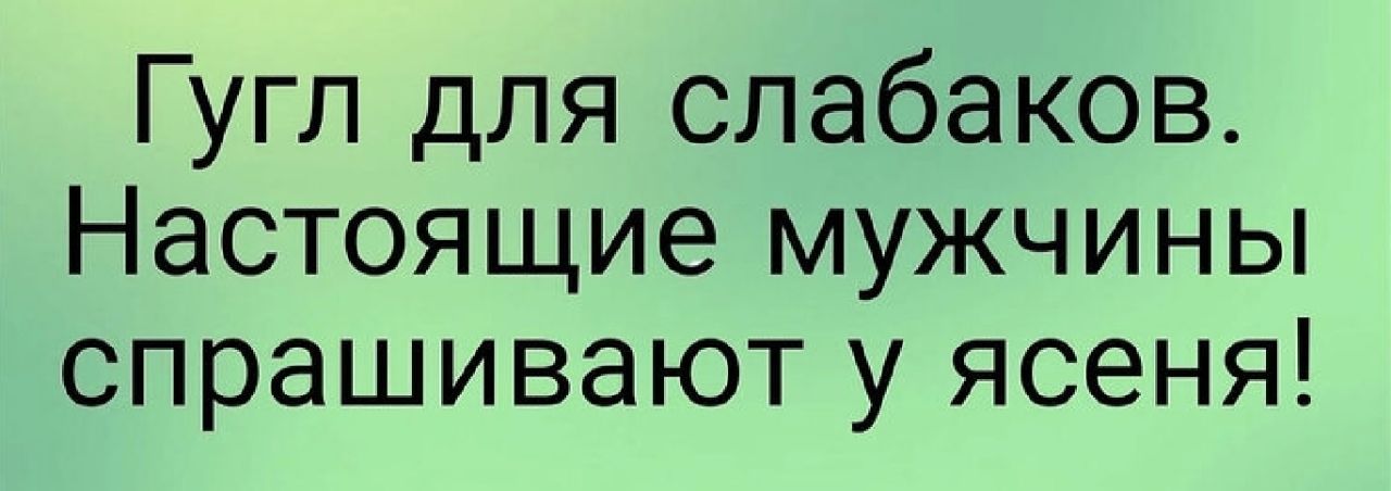 Гугл для слабаков Настоящие мужчины спрашивают у ясеня