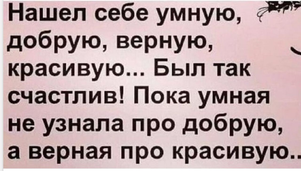 Нашел себе умную добрую верную красивую Был так счастлив Пока умная не узнала про добрую а верная про красивую