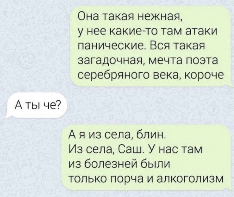 А ты че Она такая нежная у нее какие то ТЕМ ЭТЭКИ панические ВСЯ такая загадочная мечта поэта серебряного века короче А я из села блин Из села Саш У нас там из болезней были только порча и алкоголизм