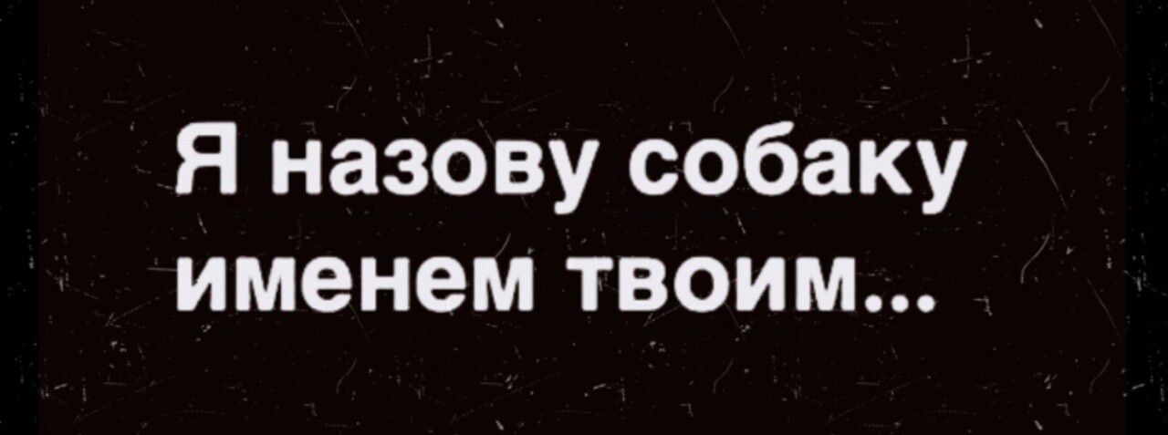 я назову собаку именем ТВОИМ