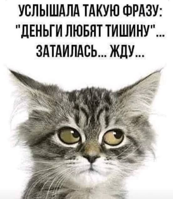 УСЛЫШАЛА ТАКУЮ ФРАЗУ ПЕНЬГИ ЛЮБЯТ ТИШИНУ ЗАТАИПАВЬ ЖДУ