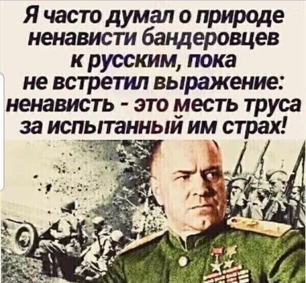 Я част думал о природе ненависти бандеровцев к русским пока не встретил выражение ненависть это месть труса за испытанныи им страх