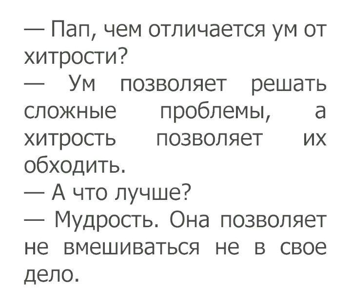 Пап чем отличается ум от хитрости Ум позволяет решать сложные проблемы а хитрость позволяет их обходить А что лучше Мудрость Она позволяет не вмешиваться не в свое дело