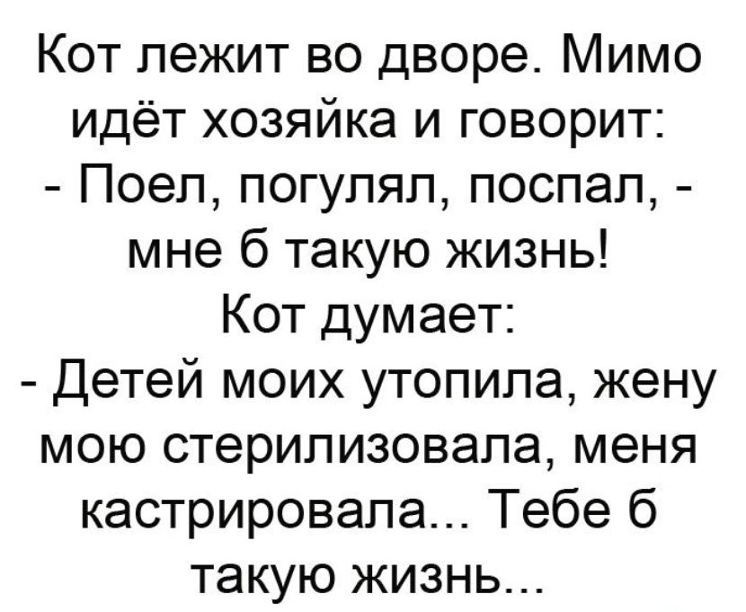 Кот лежит во дворе Мимо идёт хозяйка и говорит Поеп погуляп поспал мне 6 такую жизнь Кот думает Детей моих утопила жену мою стерилизовапа меня кастрировапа Тебе б такую жизнь