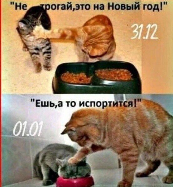 крогайэто на нвыи год