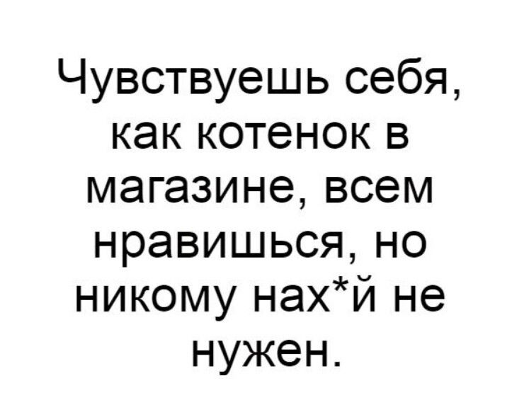 Чувствуешь себя как котенок в магазине всем нравишься но никому нахй не нужен