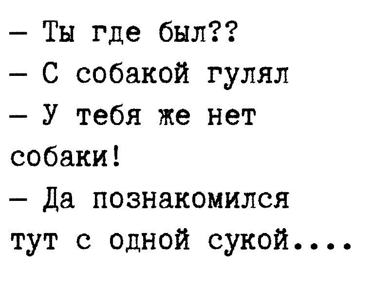 Ты где был С собакой гулял У тебя же нет собаки Да познакомился тут с одной сукой
