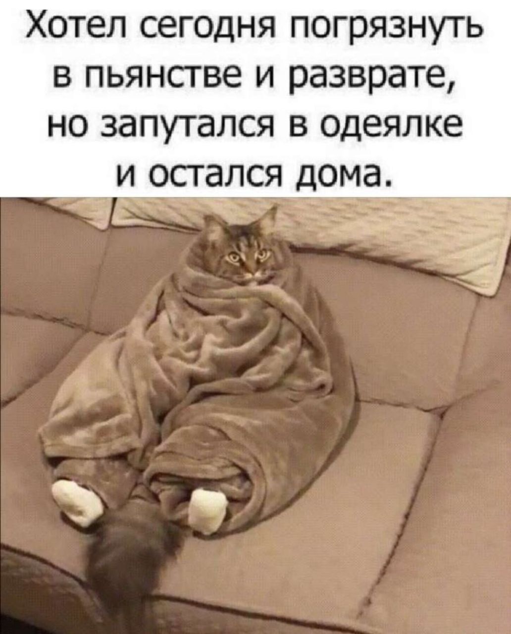 Хотел сегодня погрязнуть в пьянстве и разврате но запутался в одеяпке И ОСТ ался дома