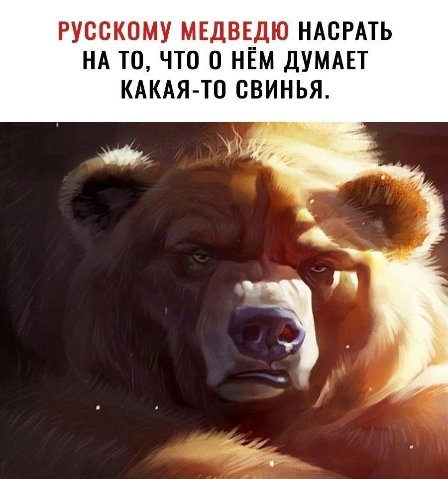 РУССКОМУ МЕДВЕПДЮ НАСРАТЬ НА ТО ЧТО 0 НЕМ ДУМАЕТ КАКАЯ ТО СВИНЬЯ