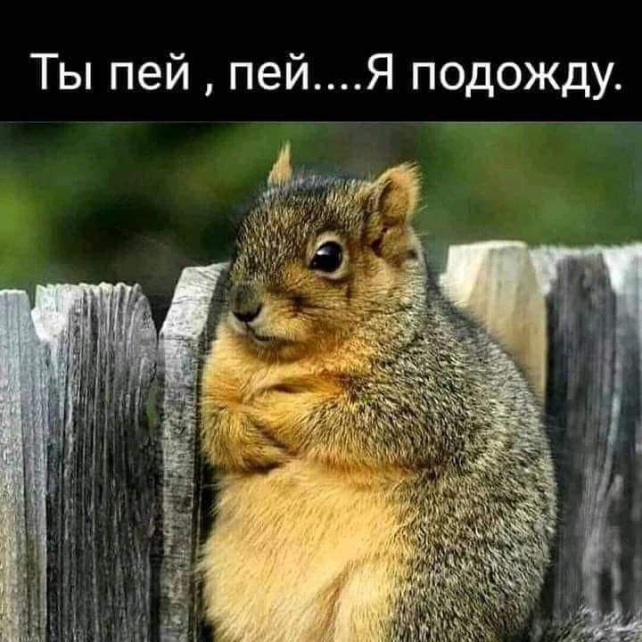 Ты пей пейЯ подожду